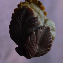 Шар, цагаан, ягаан өнгө алагласан хас чулуугаар сийлж урласан наранцэцэг ба навчс зүүлт /кулон, гоёл чимэглэг/.