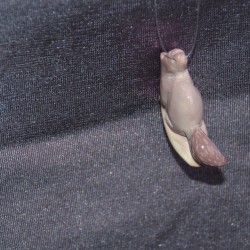 Цайвар ягаан, цагаан өнгө холилдсон  мана чуруугаар сийлж урласан үнэгний дүрст кулон /машин болон түлхүүрийн оосор бусад чимэглэл/