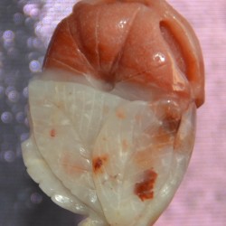 Бүдэг улаан ягаан, цайвар тунгалаг өнгийн мана чулуугаар хос цэцэг, дэлбээлсэн навчсын хамт сийлбэрлэн урласан зүүлт /кулон, гоёл чимэглэл/.