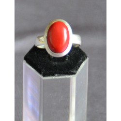 Шүр шигтгээтэй бөгж