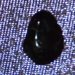 Өтгөн улаан өнгөтэй анар чулуун шигтгээ.  