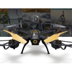 Drone (дрон)  D61 камертай 